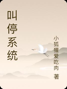 叫停系统